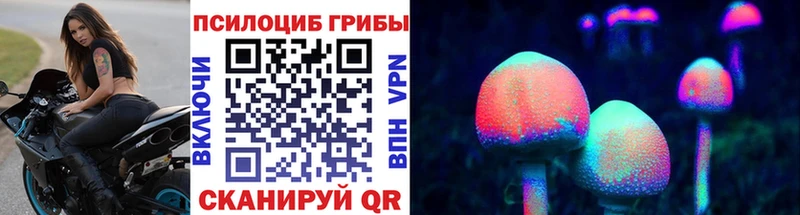 где купить   Черняховск  Галлюциногенные грибы Psilocybe 